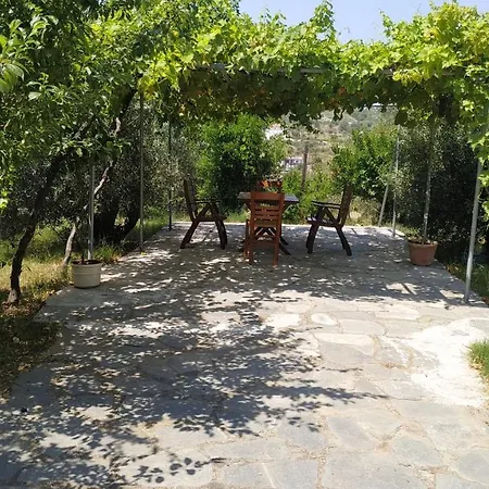 The With The Aromatic Herbs Villa